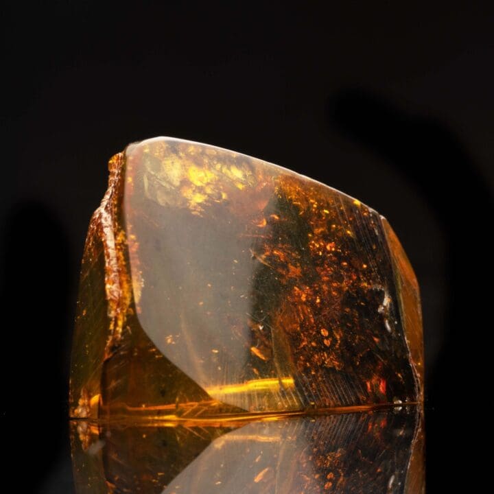 Amber with Fly and Termite // 7.02 Grams - Image 3