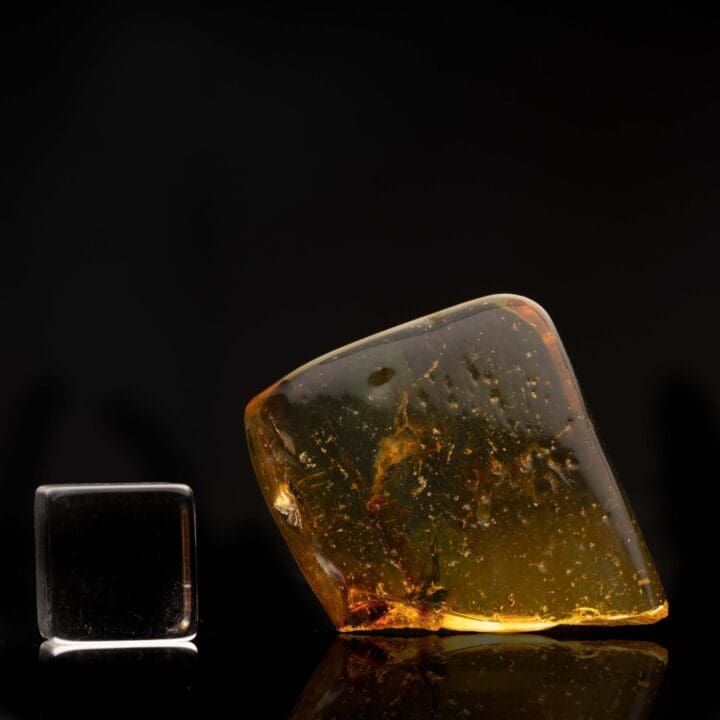 Amber with Two Mosquitoes and One Gnat // 5.75 Grams - Image 2