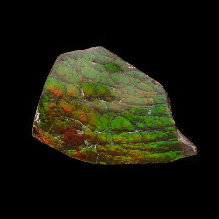 Ammolite Cabochon // 20.92 Grams