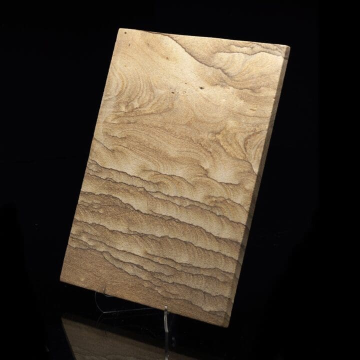 Sandstone From New Mexico 7.75" L - Image 3