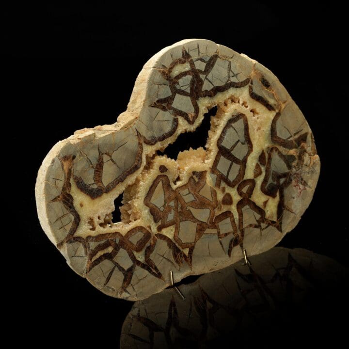 Polished Septarian Nodule – 2.22 lb - Image 3