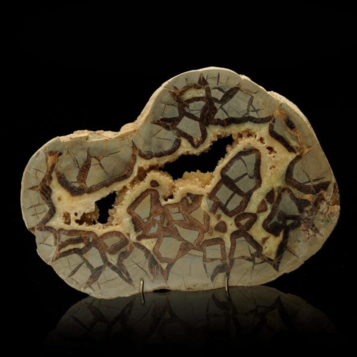 Polished Septarian Nodule – 2.22 lb