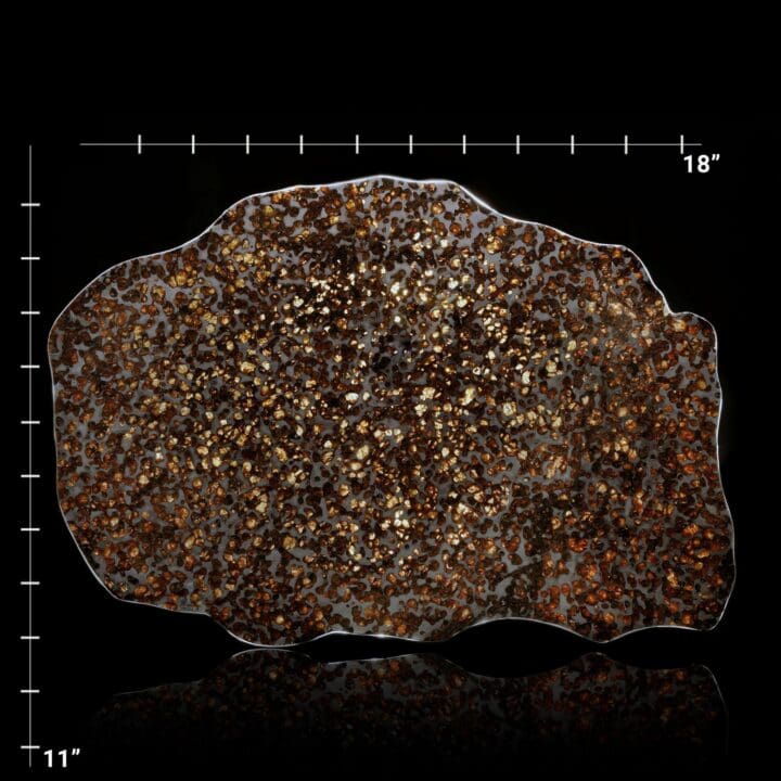 Big Pallasite Meteorite Slice - Image 2