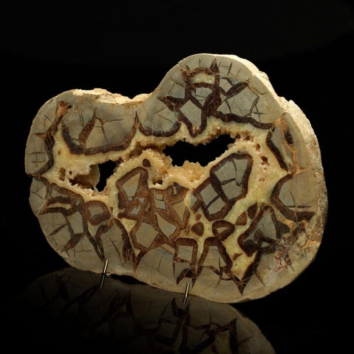 Polished Septarian Nodule – 2.22 lb - Image 2