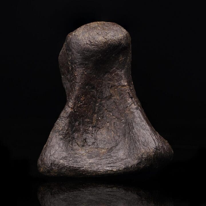 Camarasaurus Phalange – 851 g