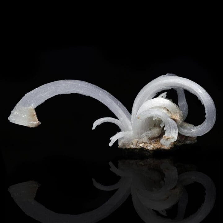 Selenite "Ram’s Horns" - Image 2