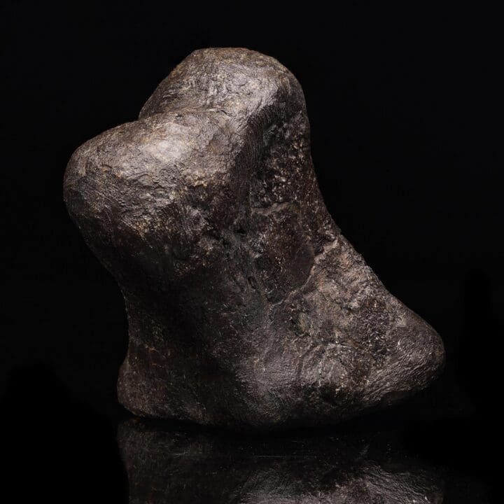Camarasaurus Phalange – 851 g - Image 3
