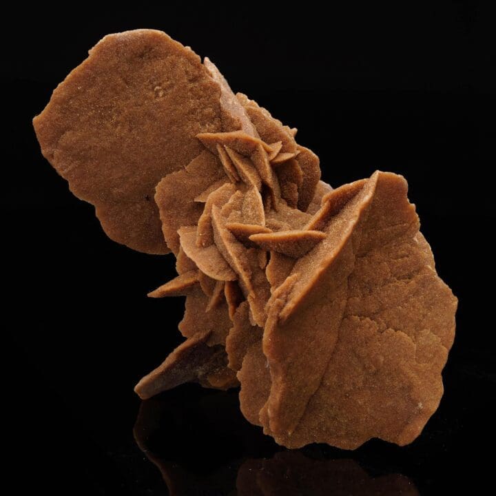 Desert Rose - Image 3