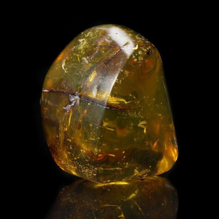 Mexican Amber with Leaf Inclusion – 26g - Image 3