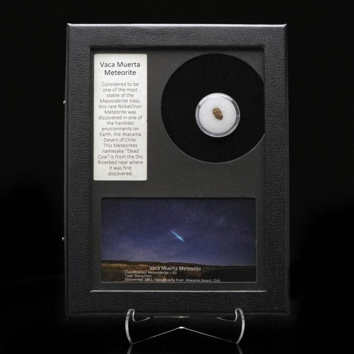Vaca Muerta Meteorite in Collector's Box