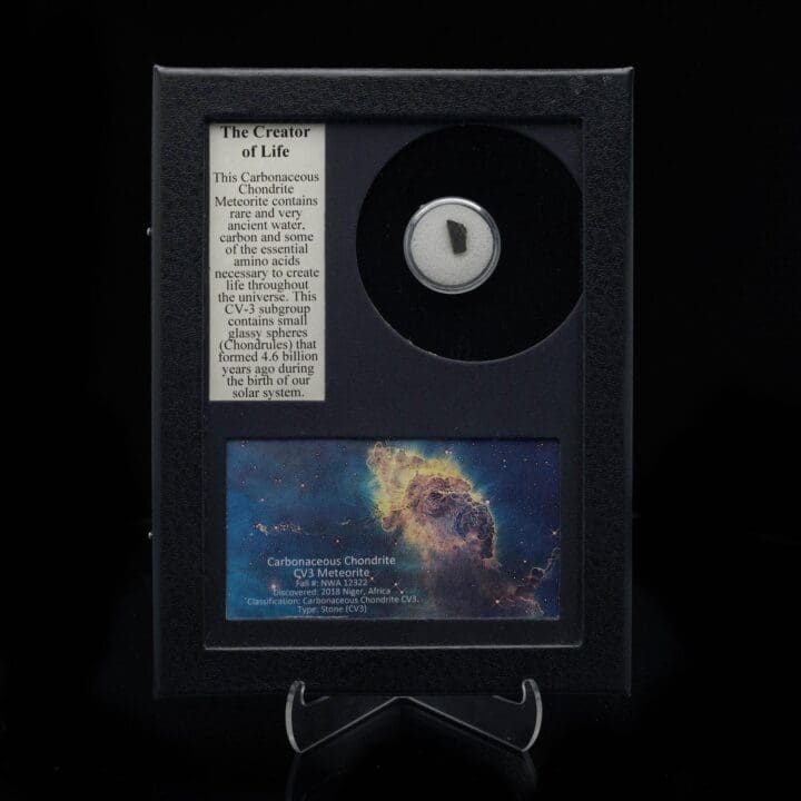 The Creator of Life Meteorite in Collector's Box