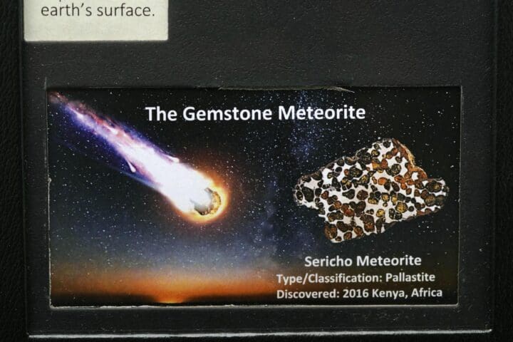 Sericho (Pallasite) Meteorite in Collector's Box - Image 4