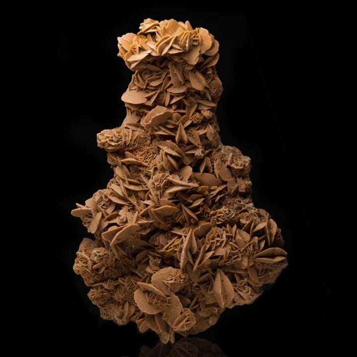 Giant Desert Rose Selenite