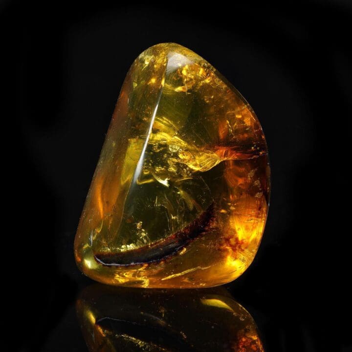 Mexican Amber with Leaf Inclusion – 26g