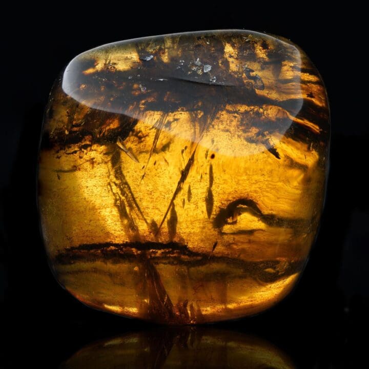 Mexican Amber – 30g