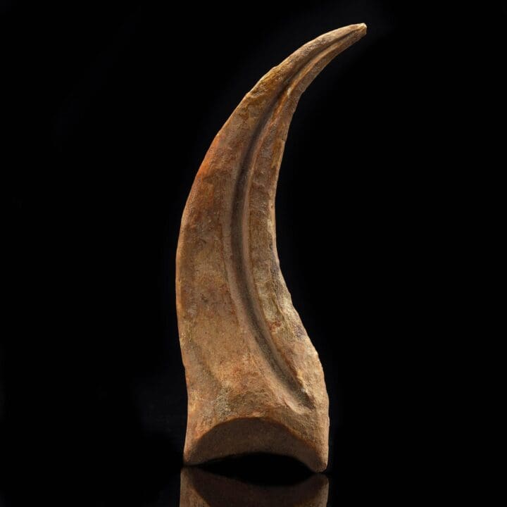 Spinosaurus Claw Fossil II