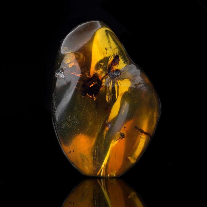 Mexican Amber – 14g - Image 2