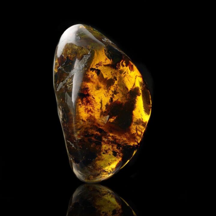 Mexican Amber – 38g