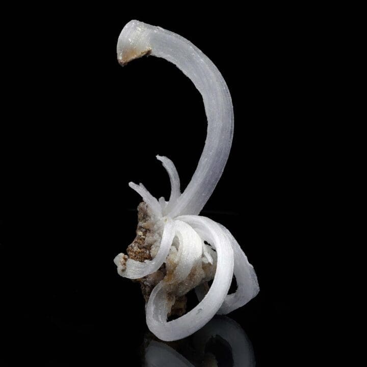 Selenite "Ram’s Horns" - Image 4