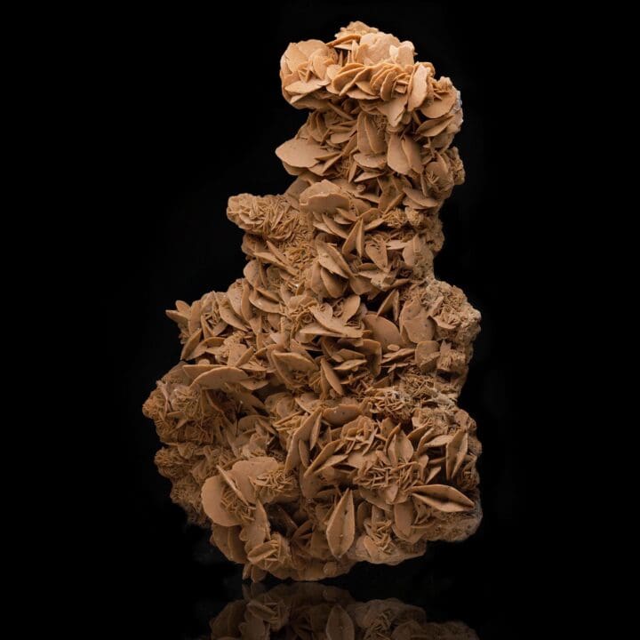 Giant Desert Rose Selenite - Image 2