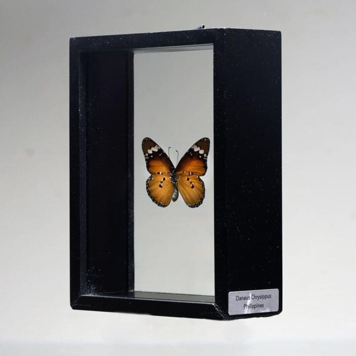 Beautiful Handmade Butterfly Box - Brown/Black - Image 4