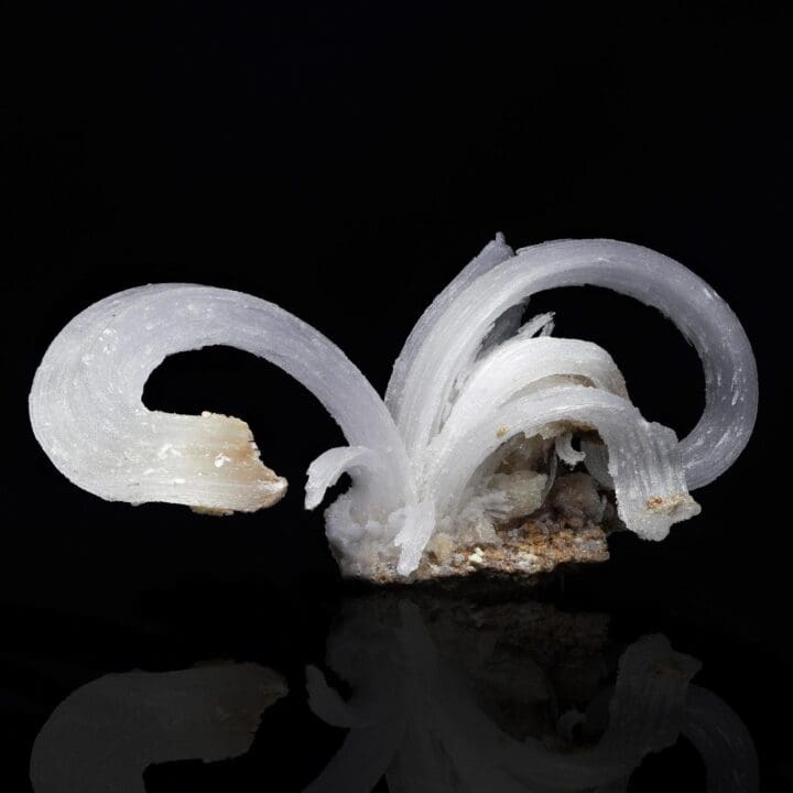 Selenite "Ram’s Horns" - Image 3