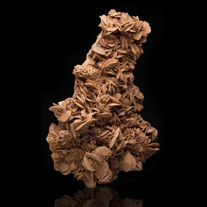 Giant Desert Rose Selenite - Image 3