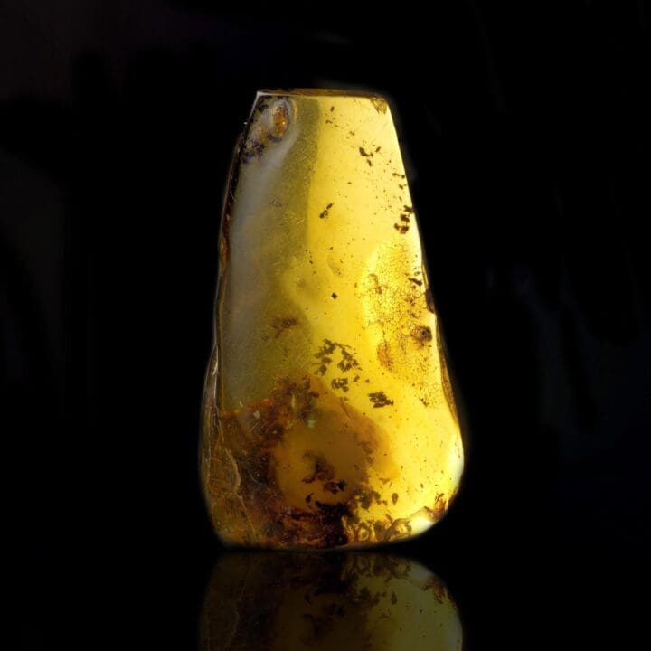 Mexican Amber – 18g