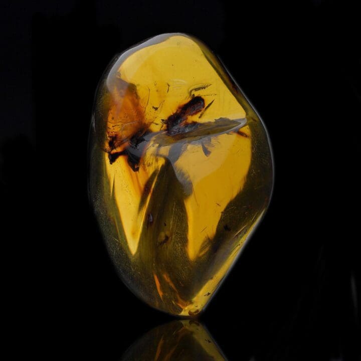 Mexican Amber – 14g