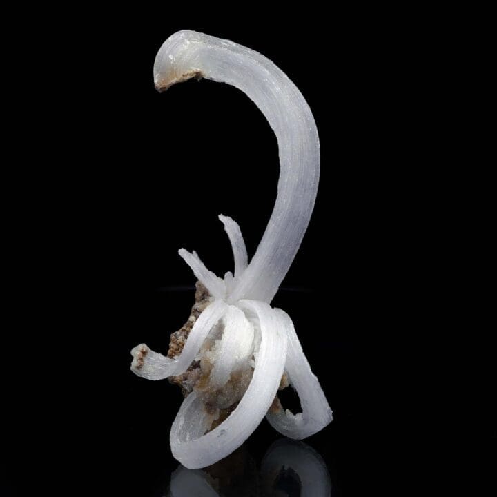 Selenite "Ram’s Horns" - Image 6