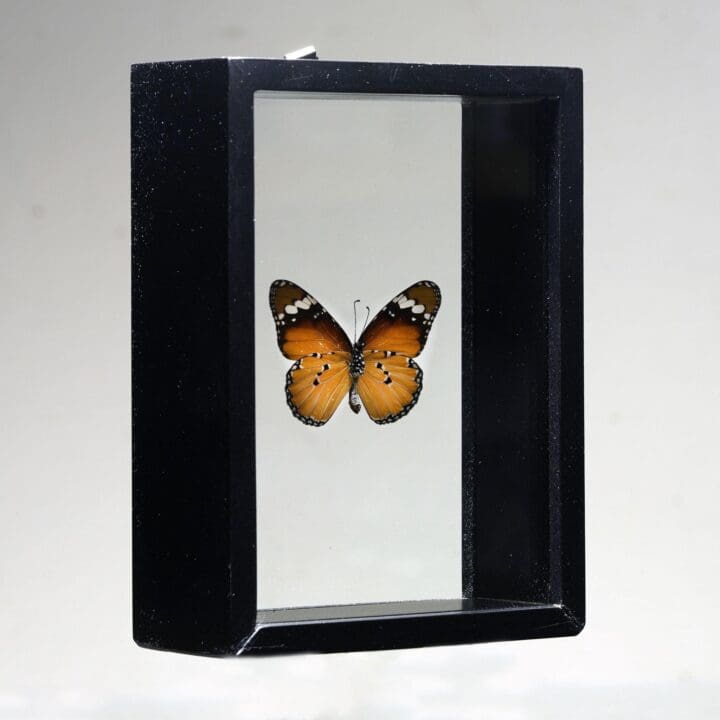 Beautiful Handmade Butterfly Box - Brown/Black - Image 3