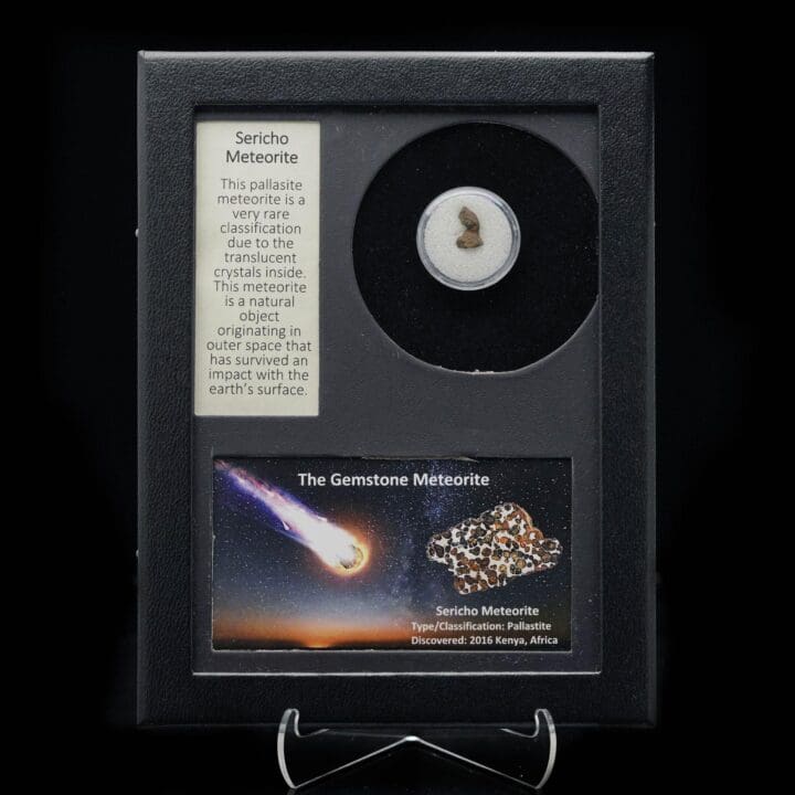 Sericho (Pallasite) Meteorite in Collector's Box