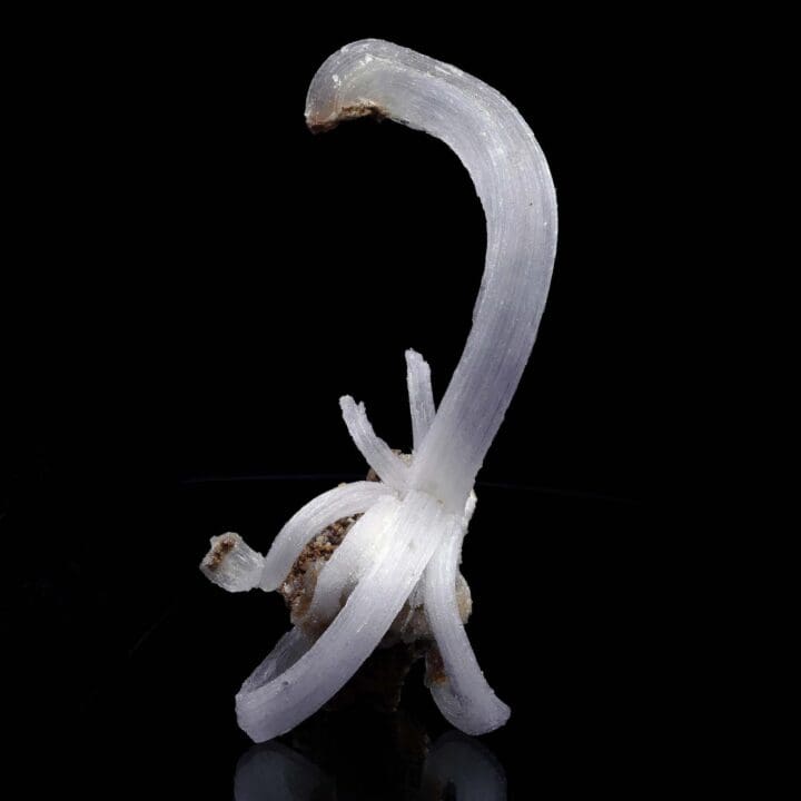 Selenite "Ram’s Horns" - Image 5