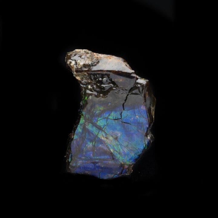 Ammolite in Collector's Box - Image 2