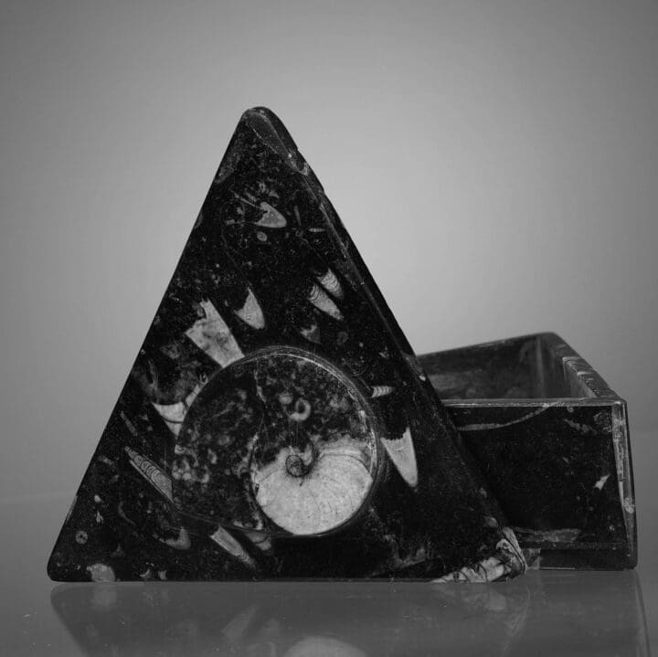 Triangular Ammonite and Belemnite Jewelry Box - Image 2
