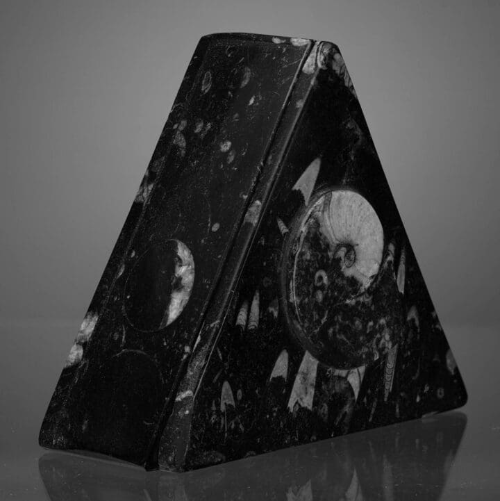 Triangular Ammonite and Belemnite Jewelry Box - Image 3