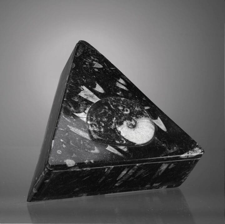 Triangular Ammonite and Belemnite Jewelry Box