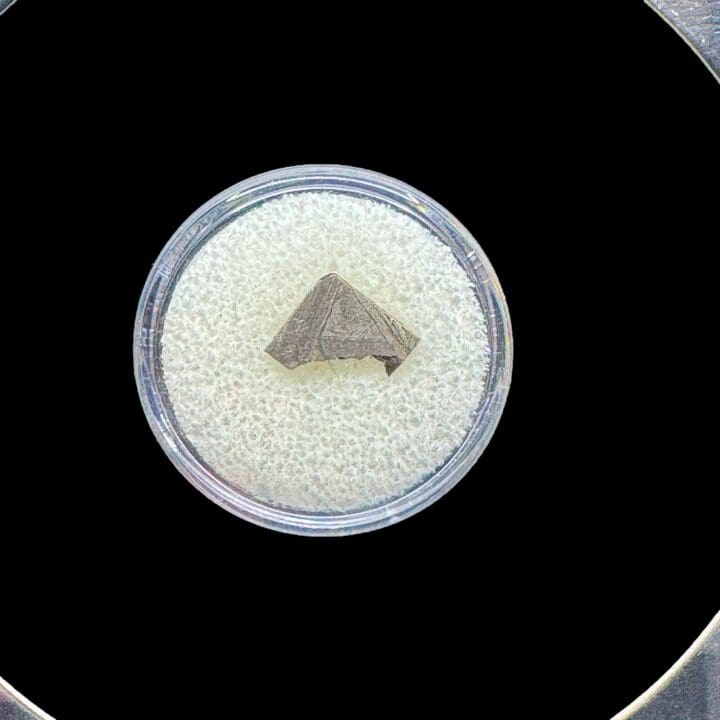 Muonionalusta Meteorite in Collector's Box - Image 4