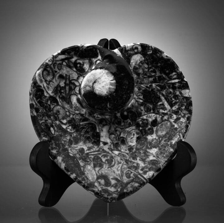 Ammonite and Belemnite Heart Dish