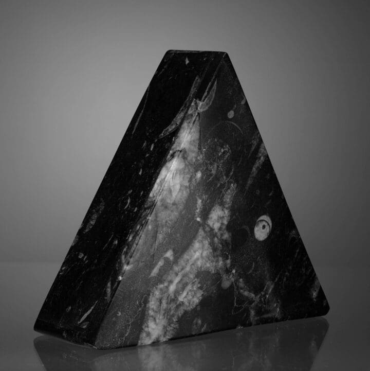 Triangular Ammonite and Belemnite Jewelry Box - Image 4