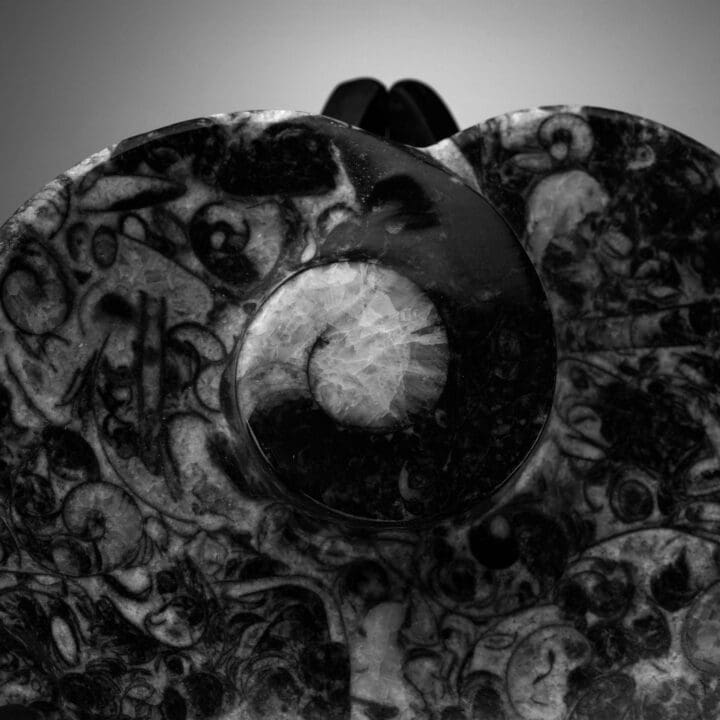 Ammonite and Belemnite Heart Dish - Image 4