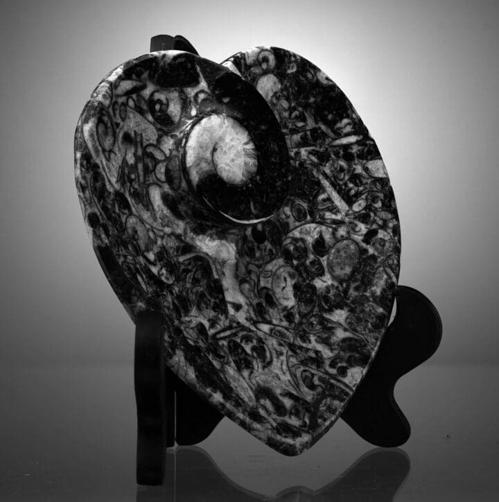 Ammonite and Belemnite Heart Dish - Image 3