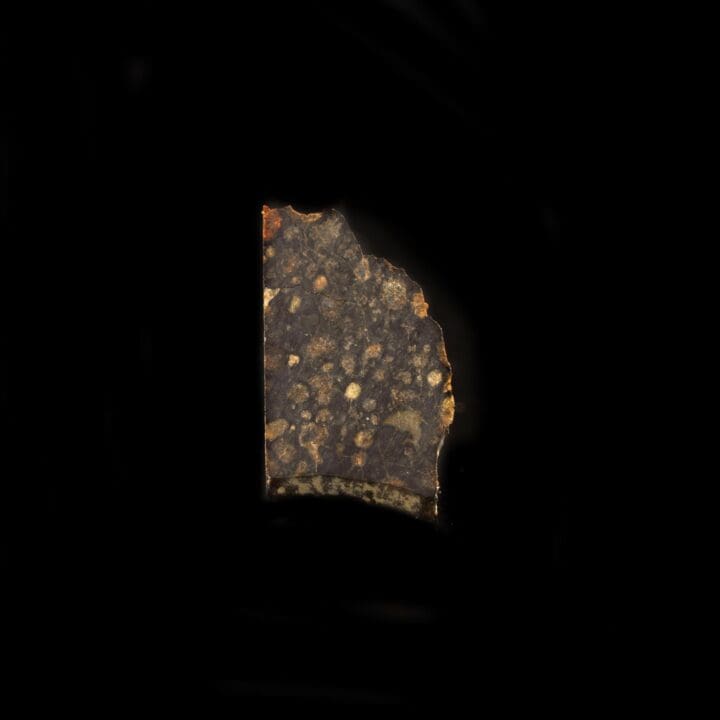 The Creator of Life Meteorite in Collector's Box - Image 2