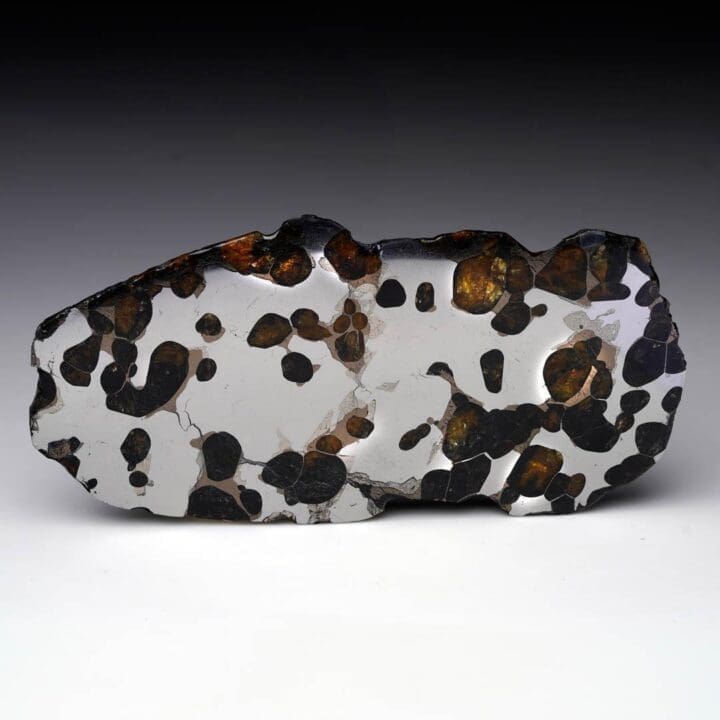 45.25 Gram Seymchan Pallasite Meteorite Slice - Image 7