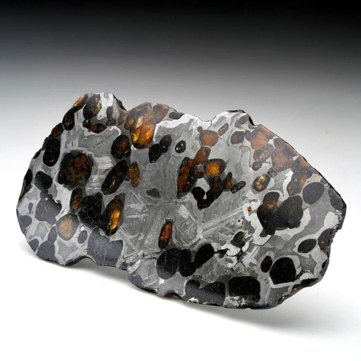 45.25 Gram Seymchan Pallasite Meteorite Slice - Image 5