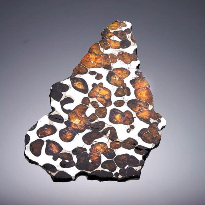 55.77 Gram Seymchan Pallasite Meteorite Slice