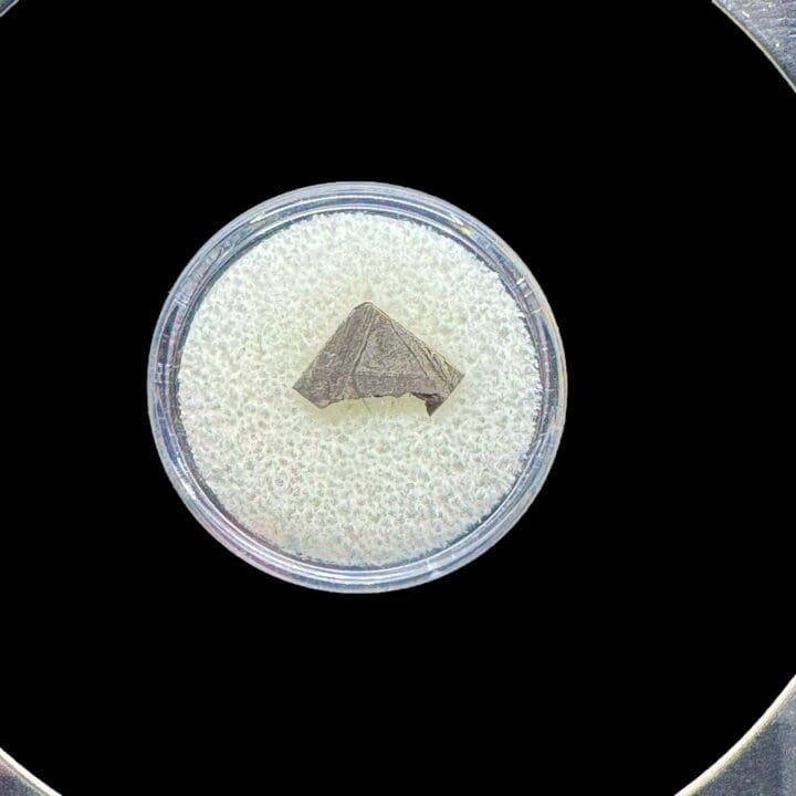 Muonionalusta Meteorite in Collector's Box - Image 4