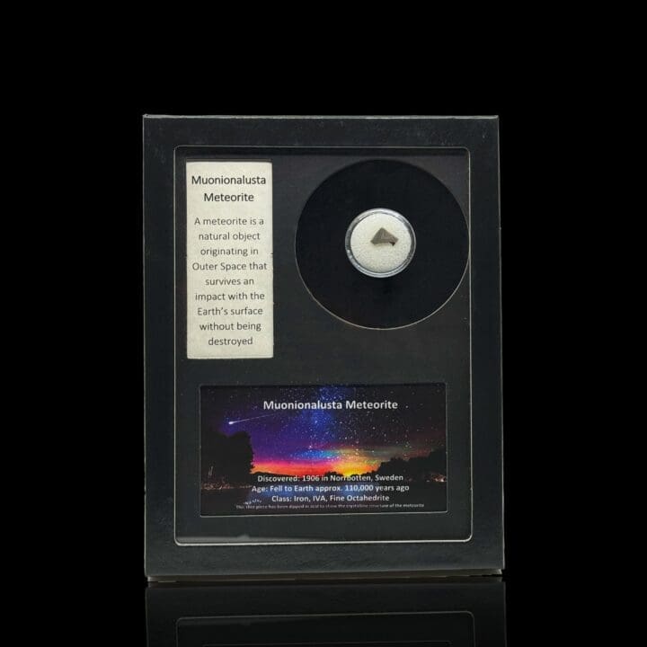 Muonionalusta Meteorite in Collector's Box - Image 7