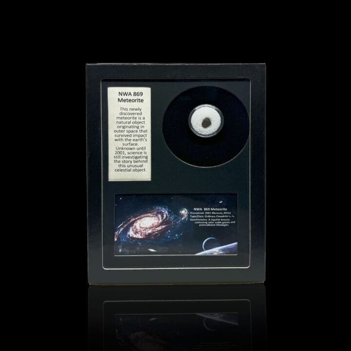 NWA Meteorite in Collector's Box - Image 5