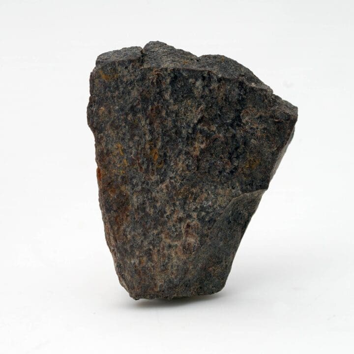 Authentic Tyrannosaurus Rex Fossil in Collector's Box - Image 2